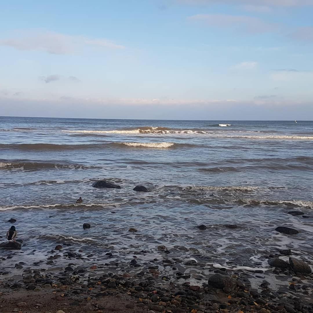 Ostseepension Warnemunde 3*